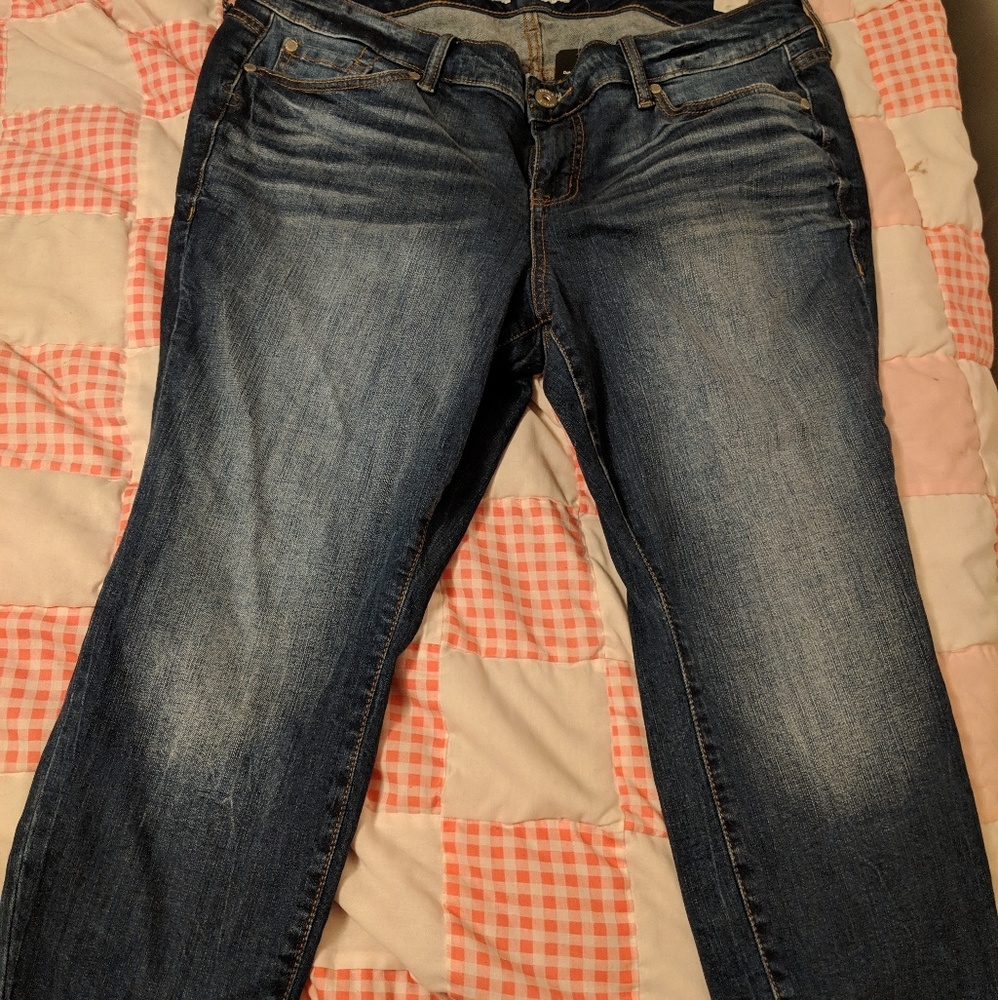 Torrid Cloverdale Jeans